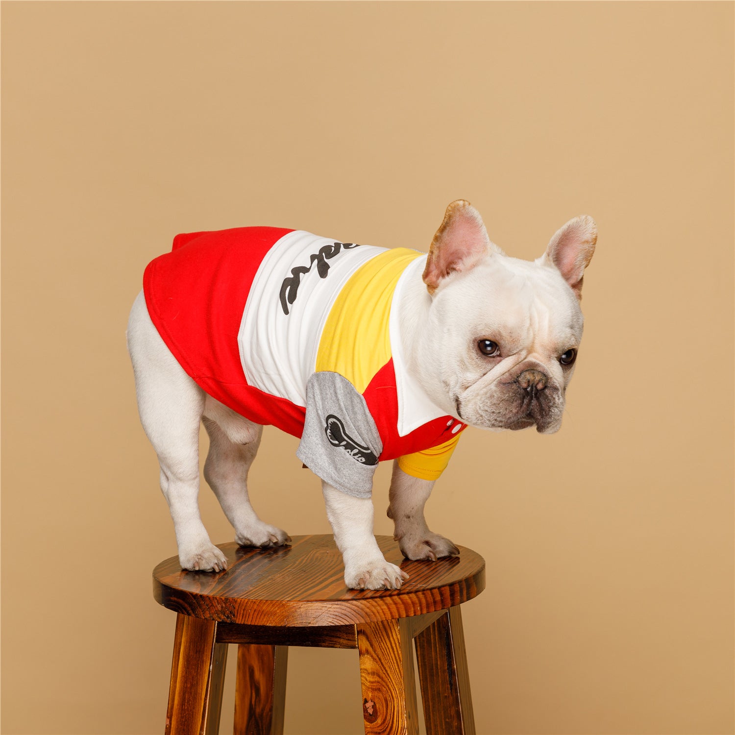 Spring New Dog Polo Shirt for Fashionable Pets