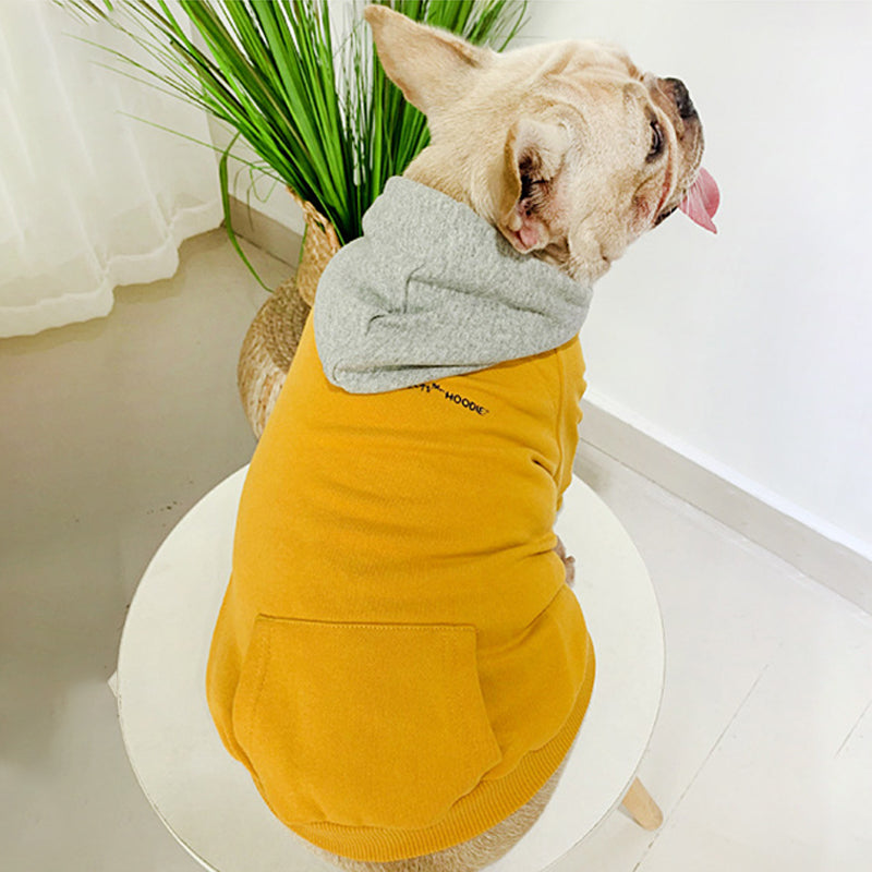 Pet Family Outfit for Persian Cats and Teddy Dogs