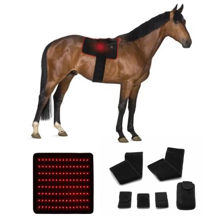 Horse Infrared LED Red Therapy Pad