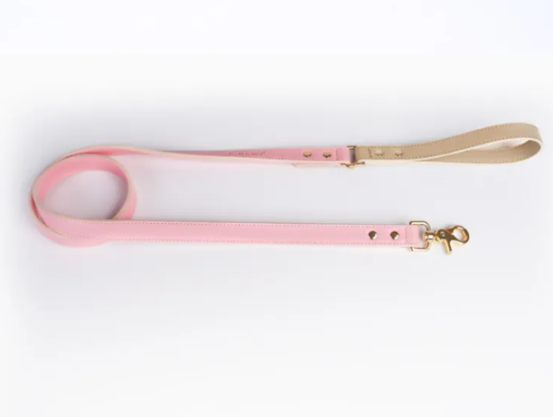 Leather Dog Leash & Collar