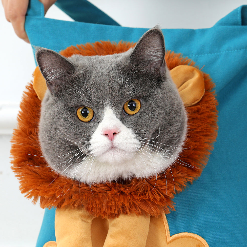 Lion Design Soft Pet Carrier Bag for Cats and Dogs