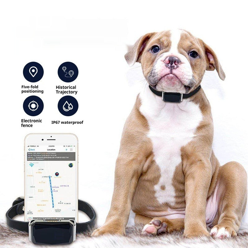 G12 Pet Navigator GPS Tracker for Cats & Dogs