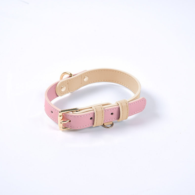 Leather Dog Leash and Collar Set