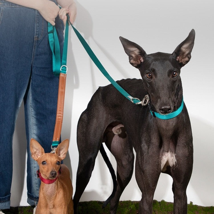 Knitted Leash for Large Dogs - Durable Traction Chain