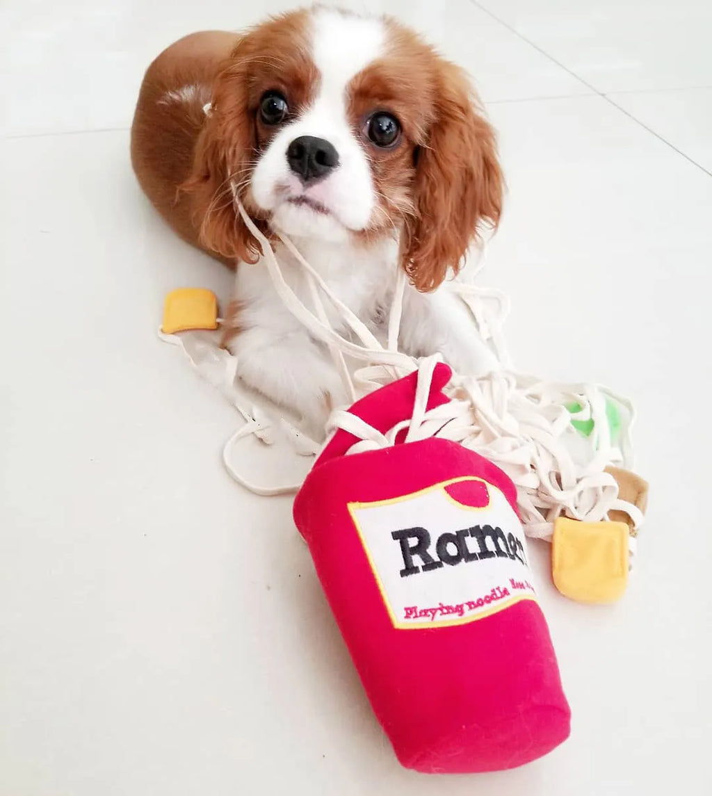 Interactive Korea Ramen Pet Sniffing Toy