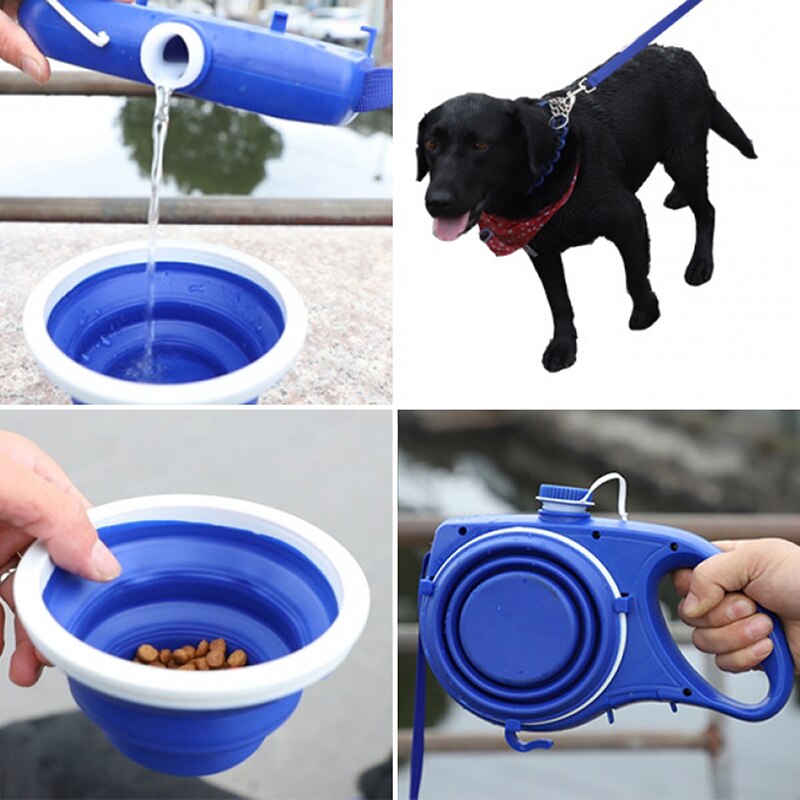 Pet Leash