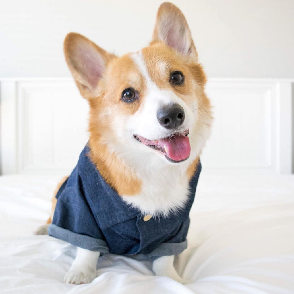 Summer Printed Cotton Clothes for Small Dogs