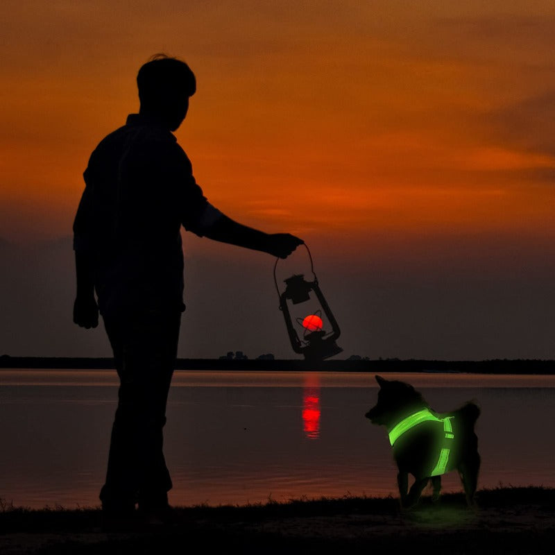 LED Rechargeable Dog Harness