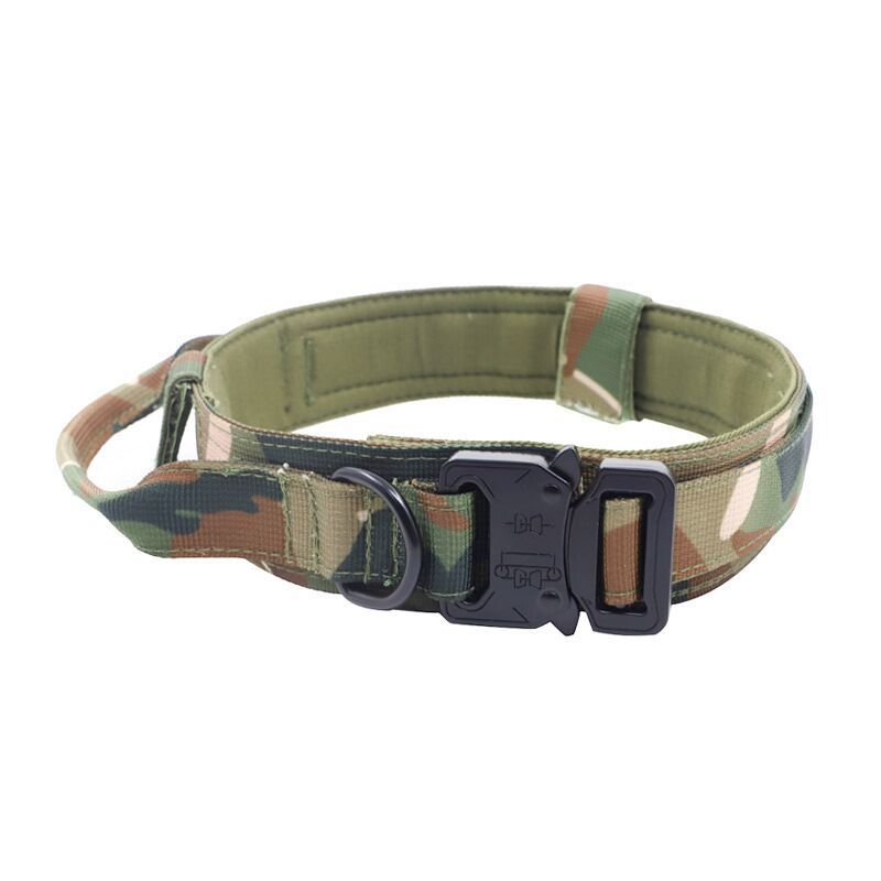 Personalized Fashion Tactical Dog Collar