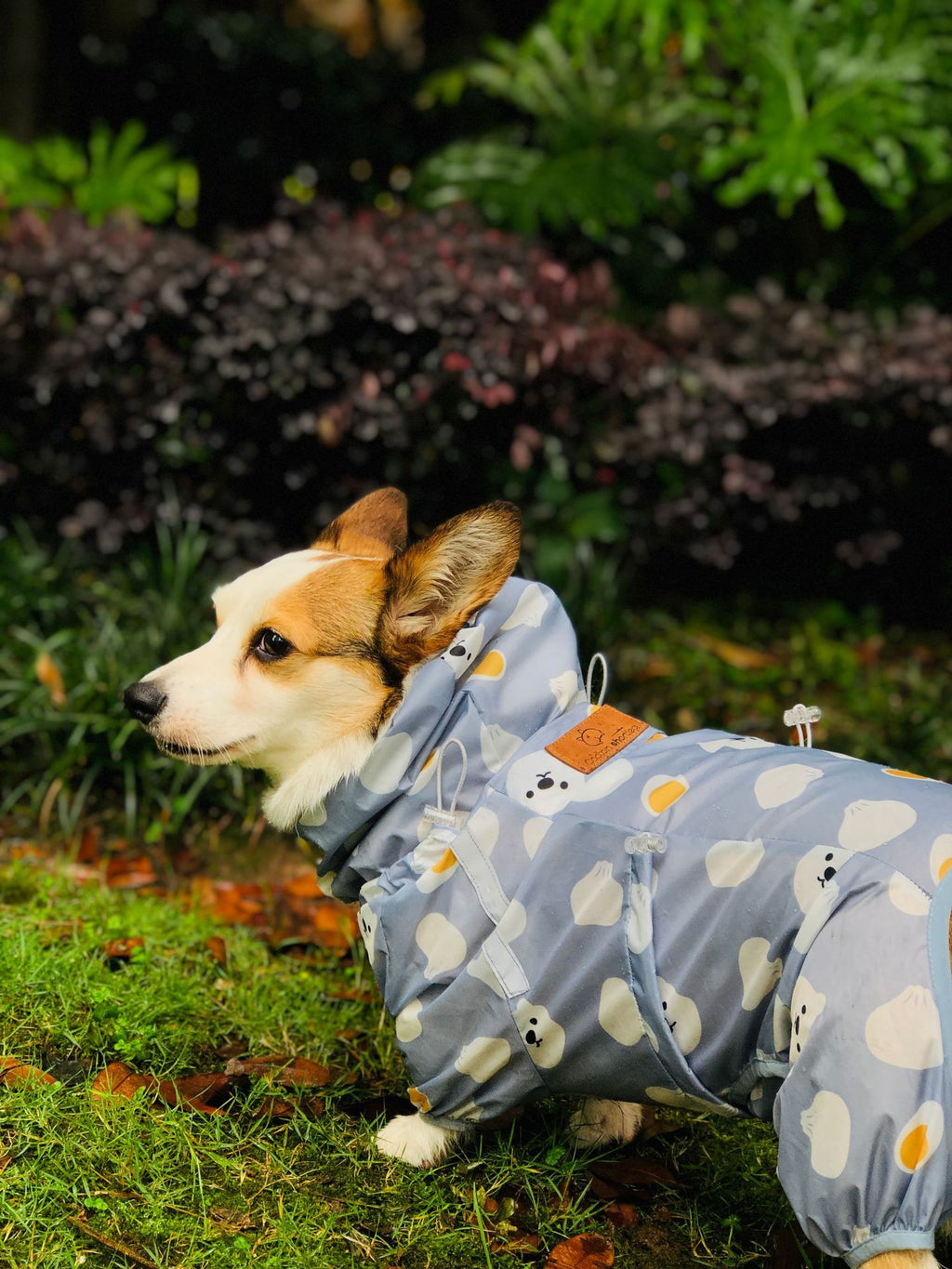 Golden Retriever Corgi Full Wrap Waterproof Coat