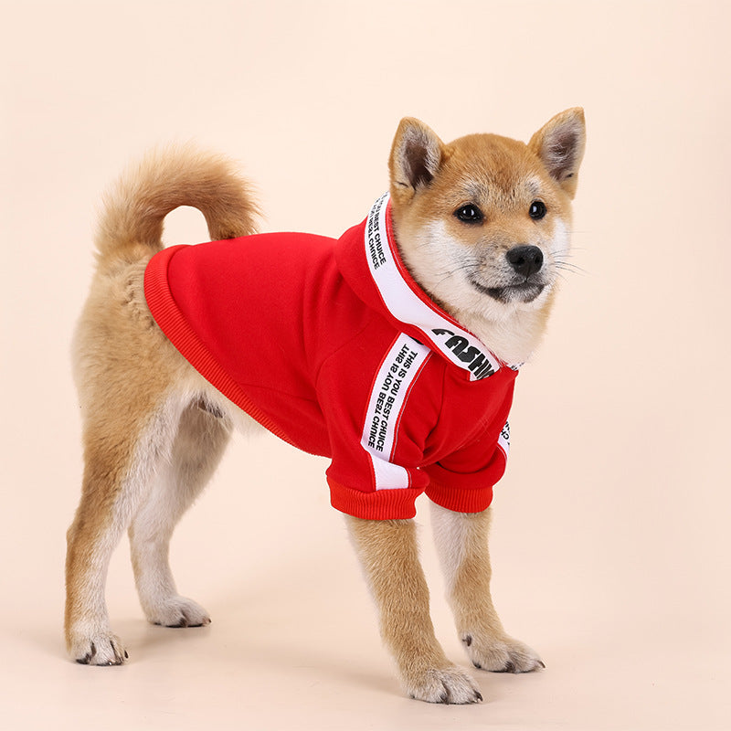 Trendy Clothing for Small and Medium Dogs