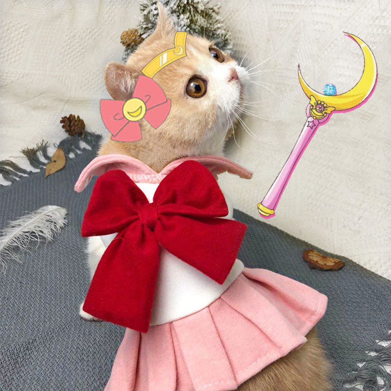 Spring and Summer Trendy Cat Clothing