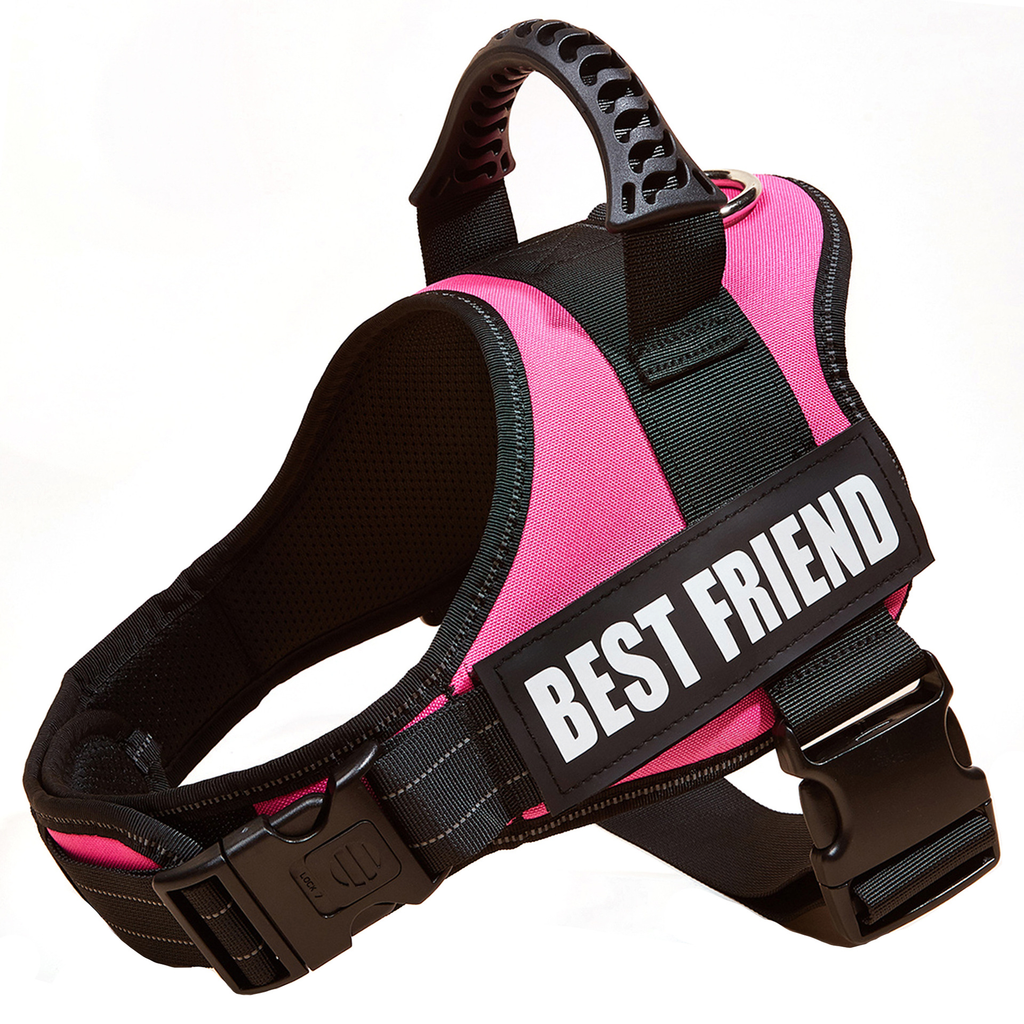 Large Dog Chest Harness with Collars and Lead Rope