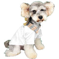Summer T-Shirt for Small Dogs - Corgi, Teddy, Poodle