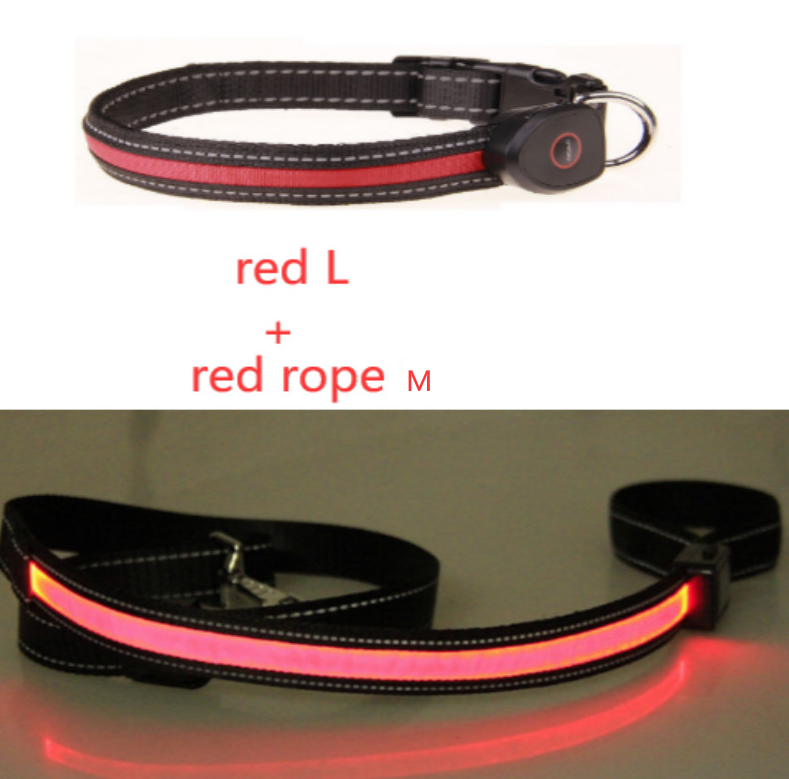 Luminous Dog Collar for Nighttime Safety and Visibility