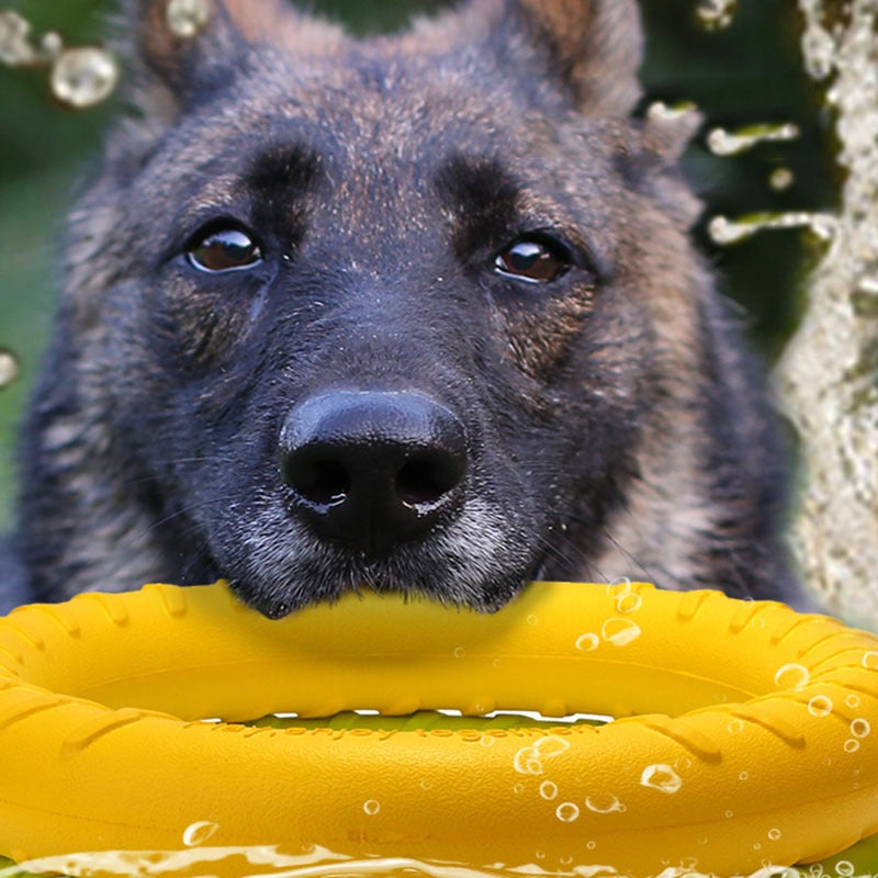 Dog Training Pull Ring Toy