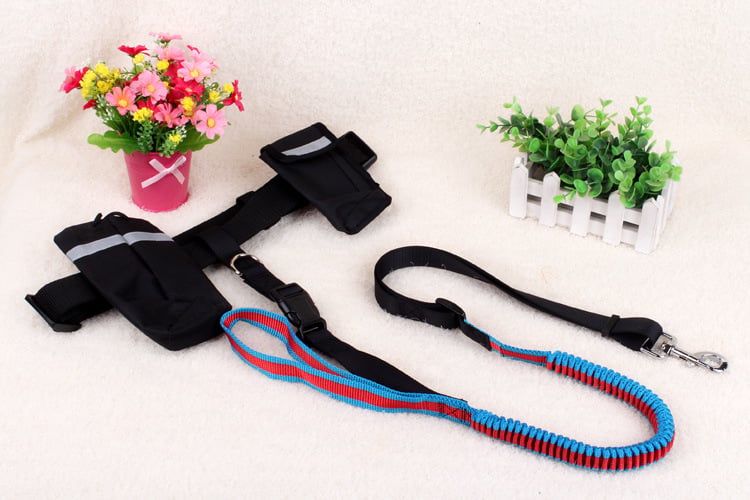 Multifunctional Nylon Stretch Dog Leash for Running