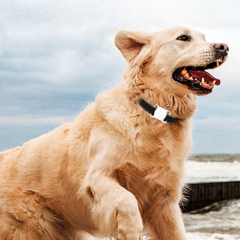 Smart Pet Locator