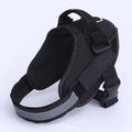 Dog Harness for Comfort and Control