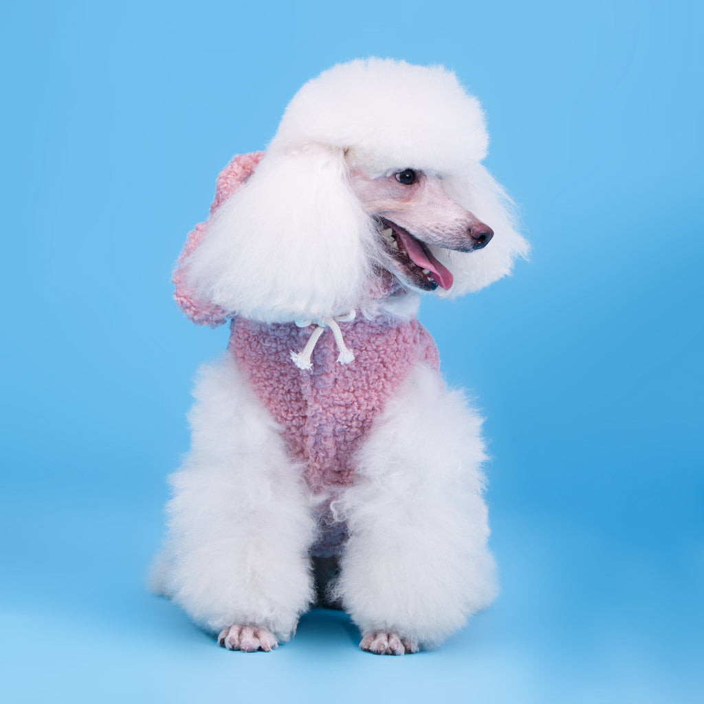 Teddy Dog Pet Clothes for Cubs - Two-Legged Design