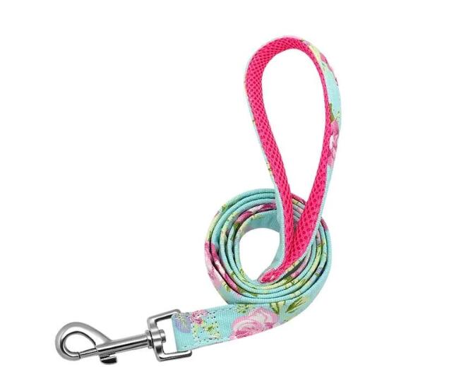Dog Collar and Leash for Large Dogs