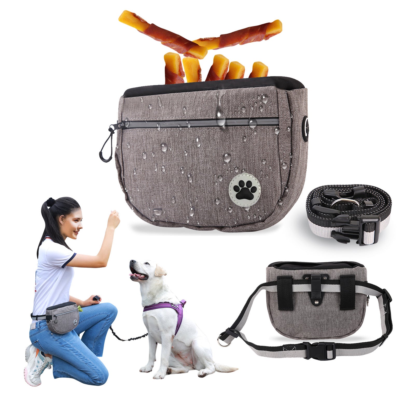 Dog Training Snack Bag for Outings and Walks