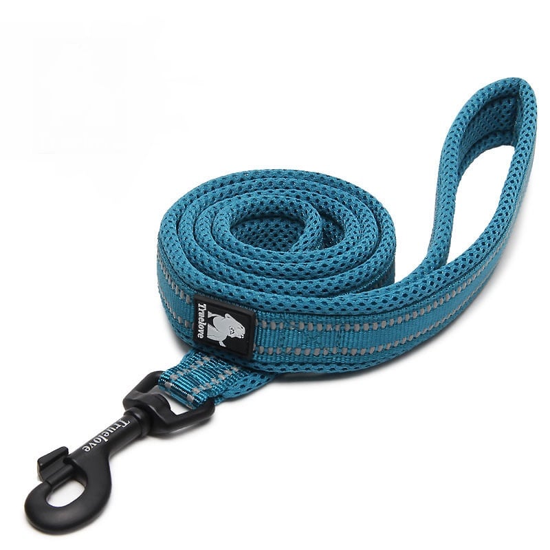 Dog Leash to Prevent Loss and Keep Your Pet Safe