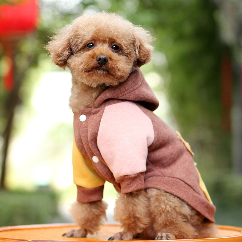 Autumn Coat for Small Dogs Keeps Them Warm
