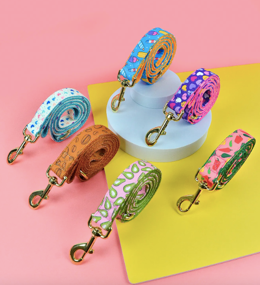Heart Pattern Pet Leash