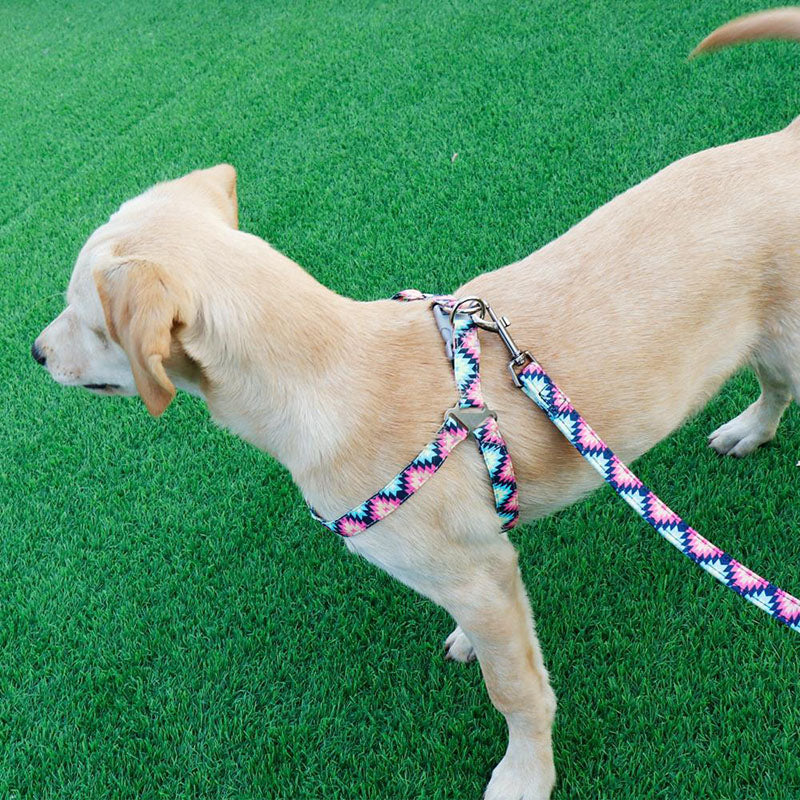 Dog Vest Harness with Leash for Pets