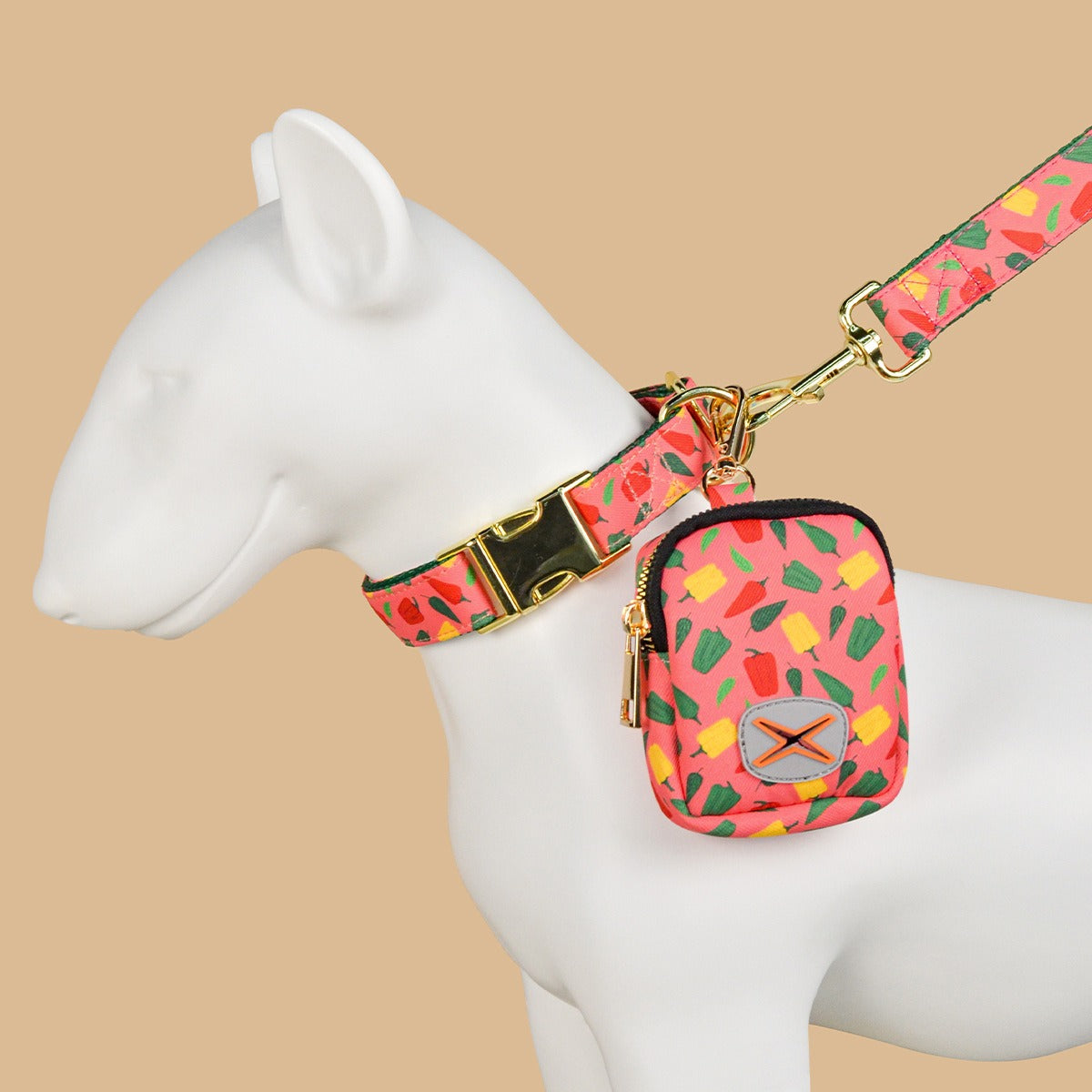 Dog Leash & Poop Bag Holder Set