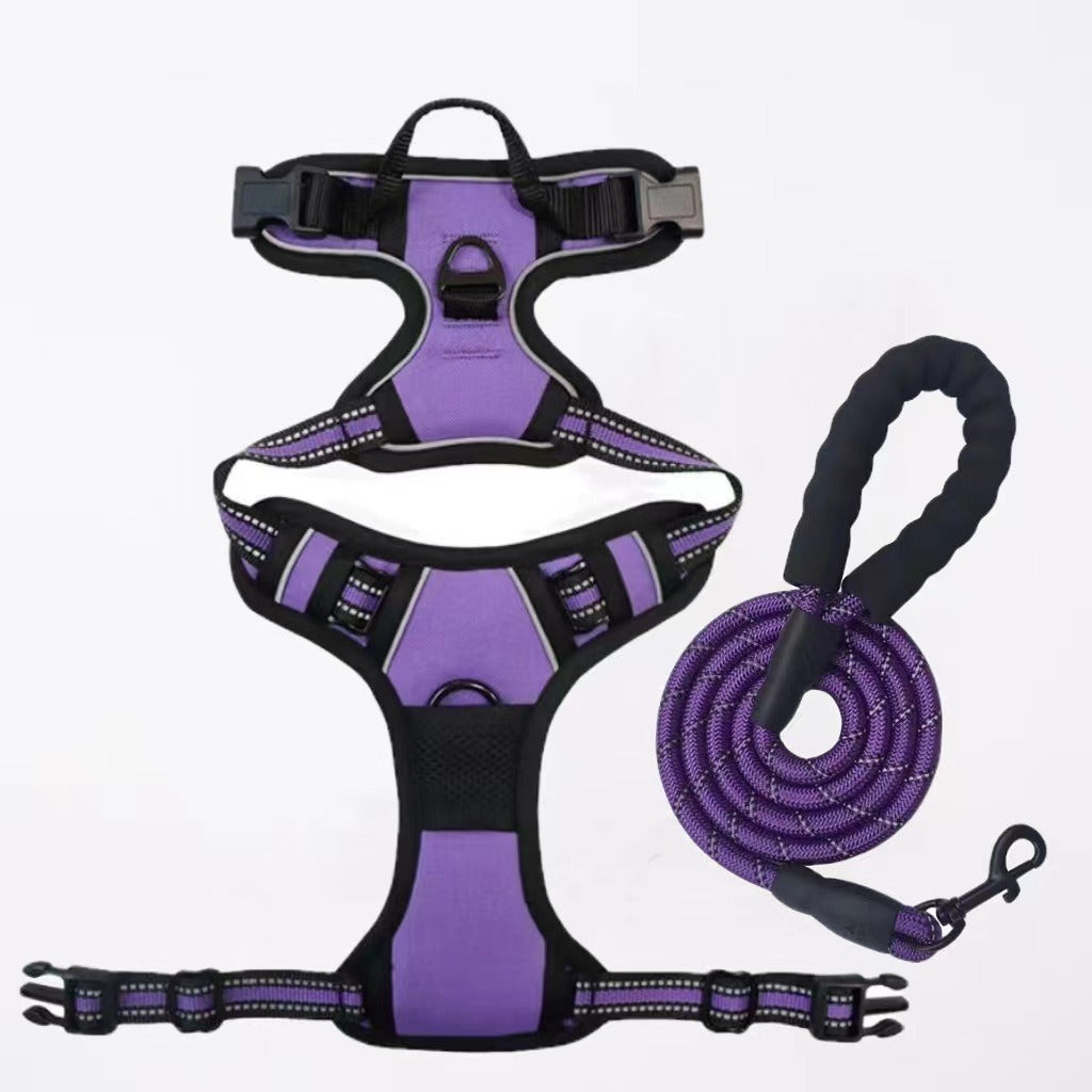Nylon Dog Harness & Leash Set