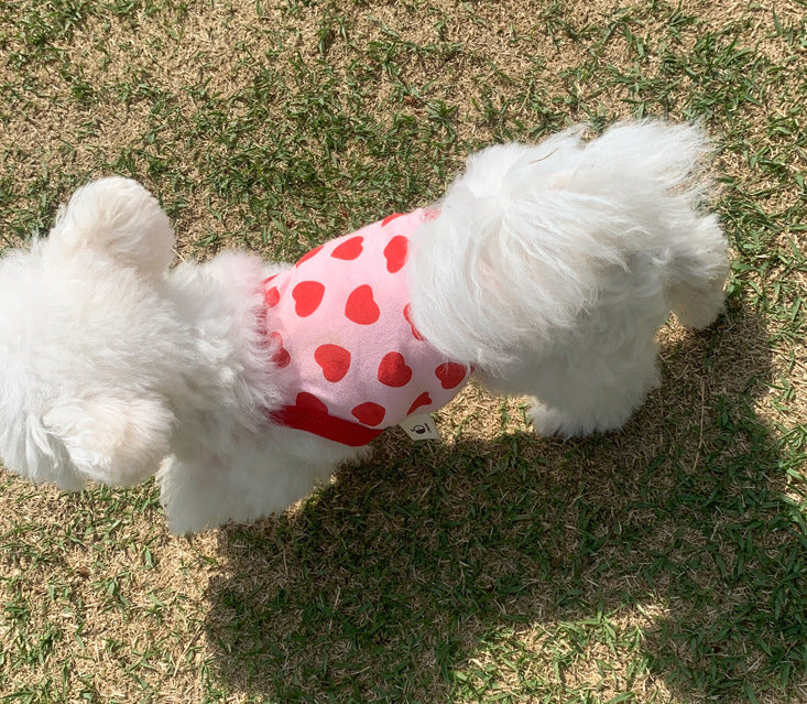 Breathable Summer Cat and Dog Sling Vest
