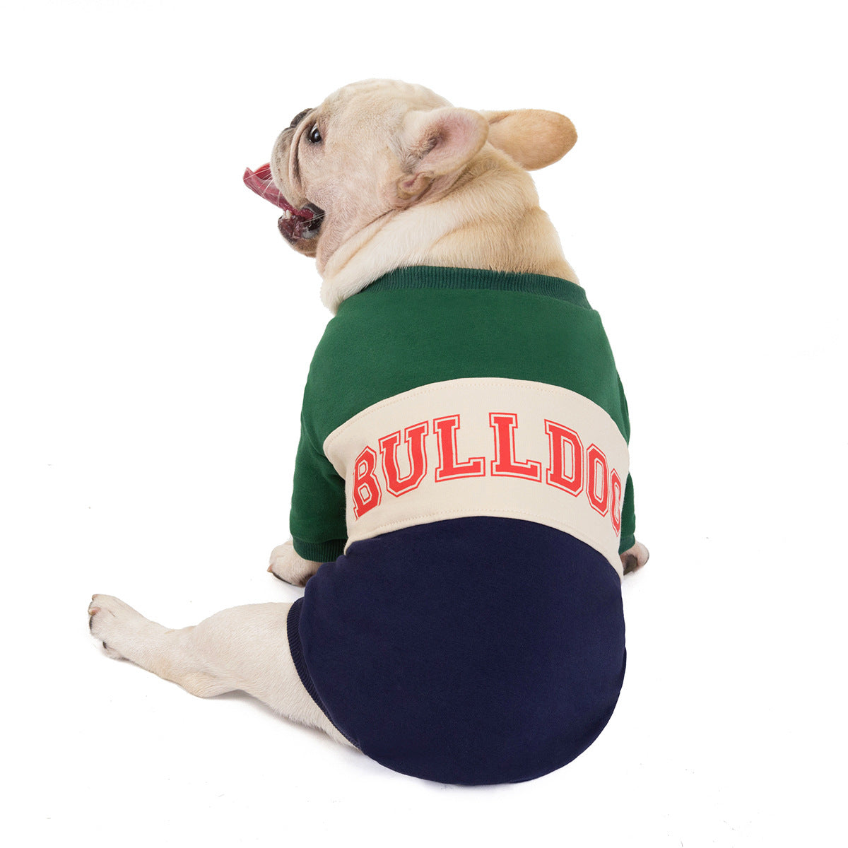 Bulldog Cotton Coat for Autumn and Winter Wear
