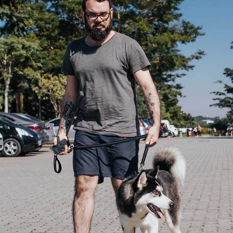Cross-Border Dog Leash with Safety Features and Training