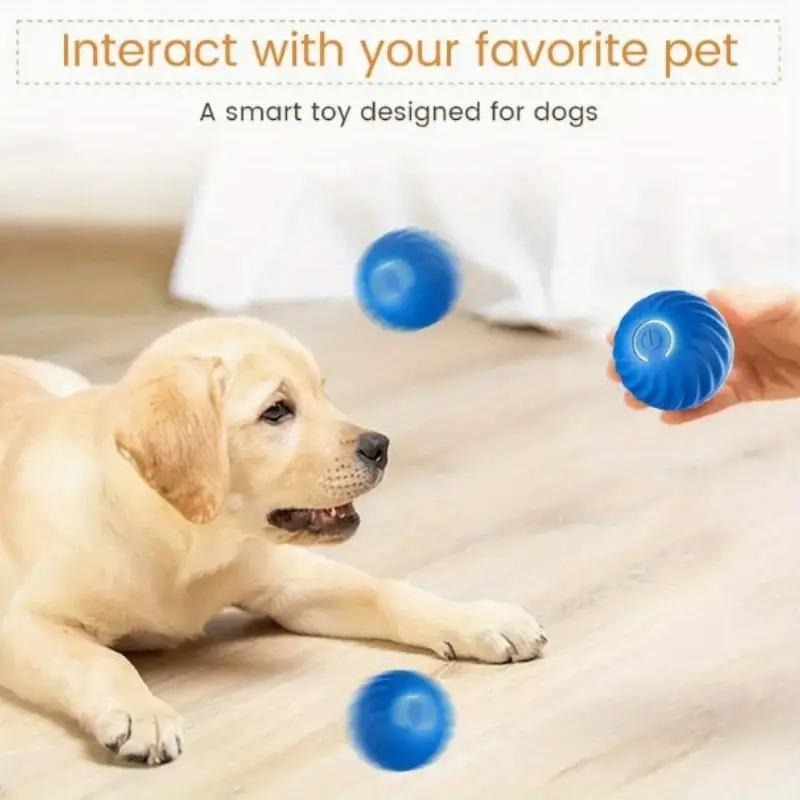 Pet Bounce Ball for Cats & Dogs