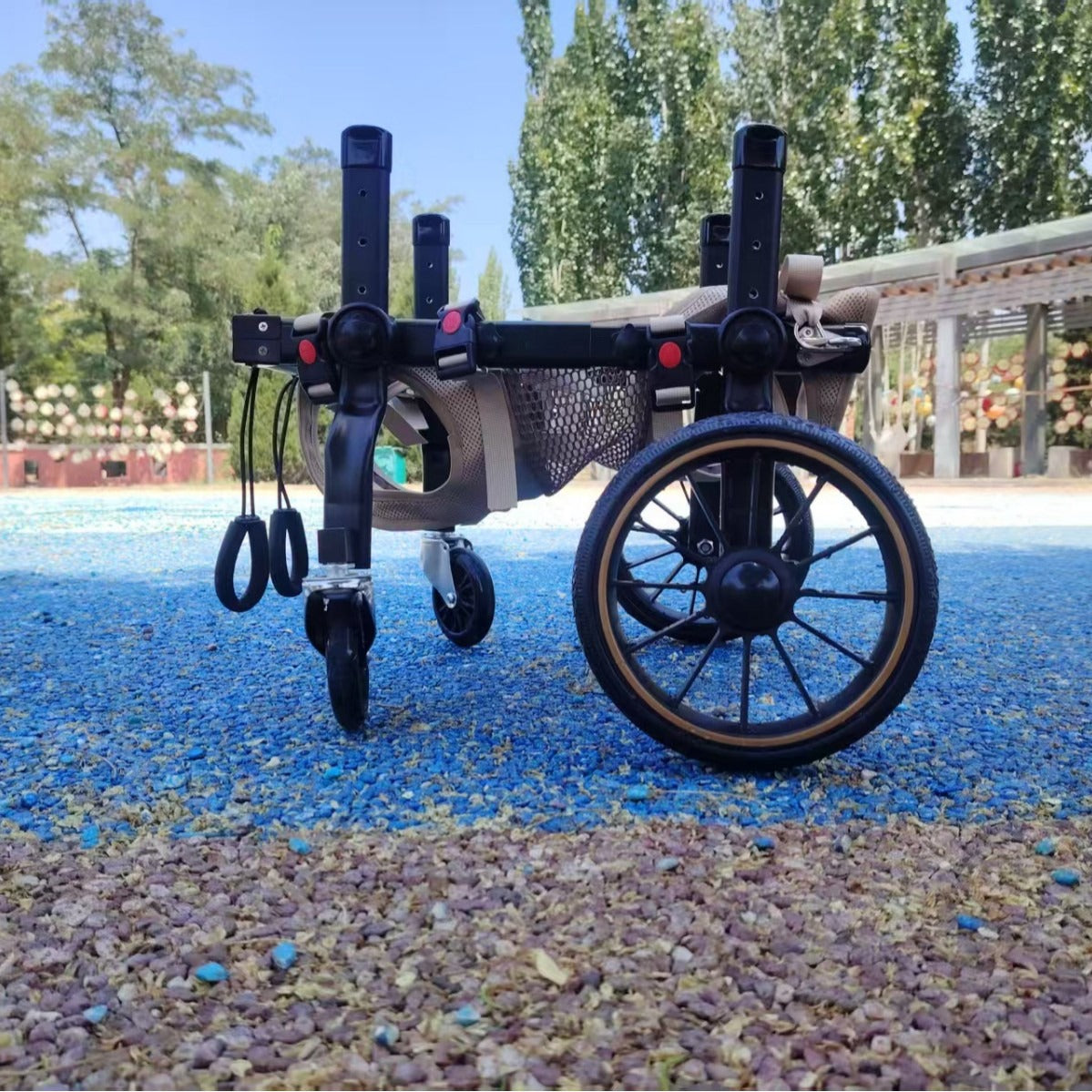 Dog Wheelchair for Disabled Dogs