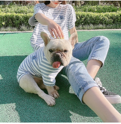Striped Modal Cotton T-shirt for Small Pets and Owners