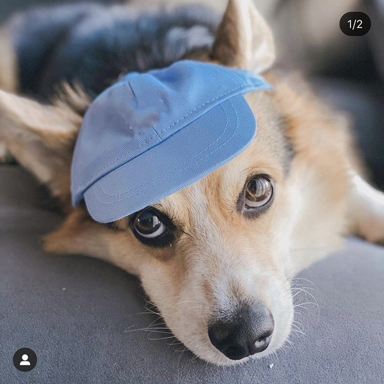 Teddy Schnauzer Pet Baseball Cap for Dogs