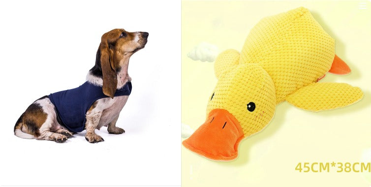 Bite-Resistant Molar Dog Chew Toy