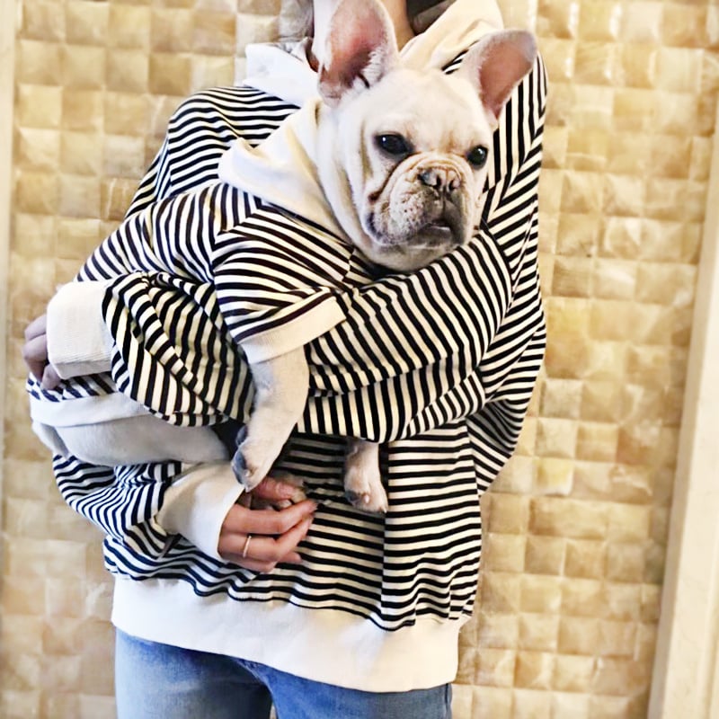 Teddy Dog Terry Sweater - Fashion for Small Dogs
