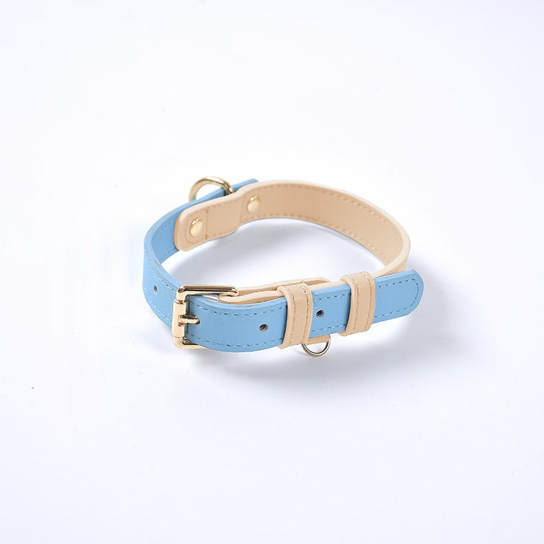 Leather Dog Leash and Collar Set