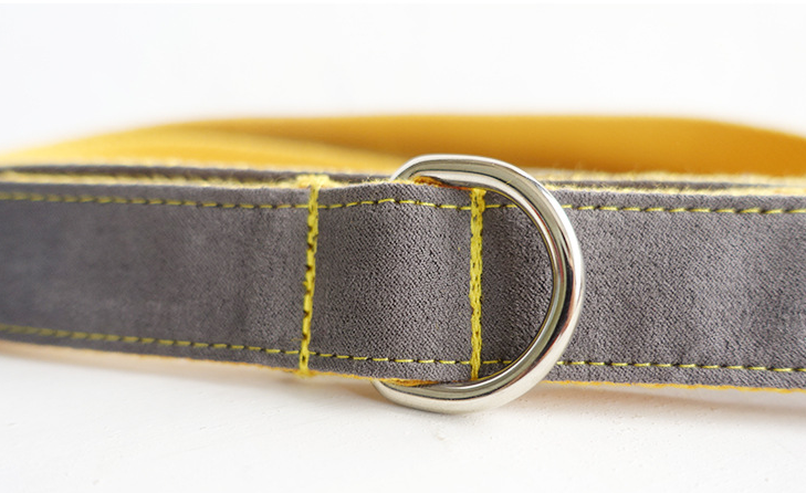 Leash and Collar Set for Dogs