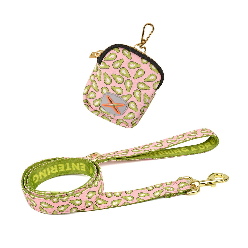 Dog Leash & Poop Bag Holder Set