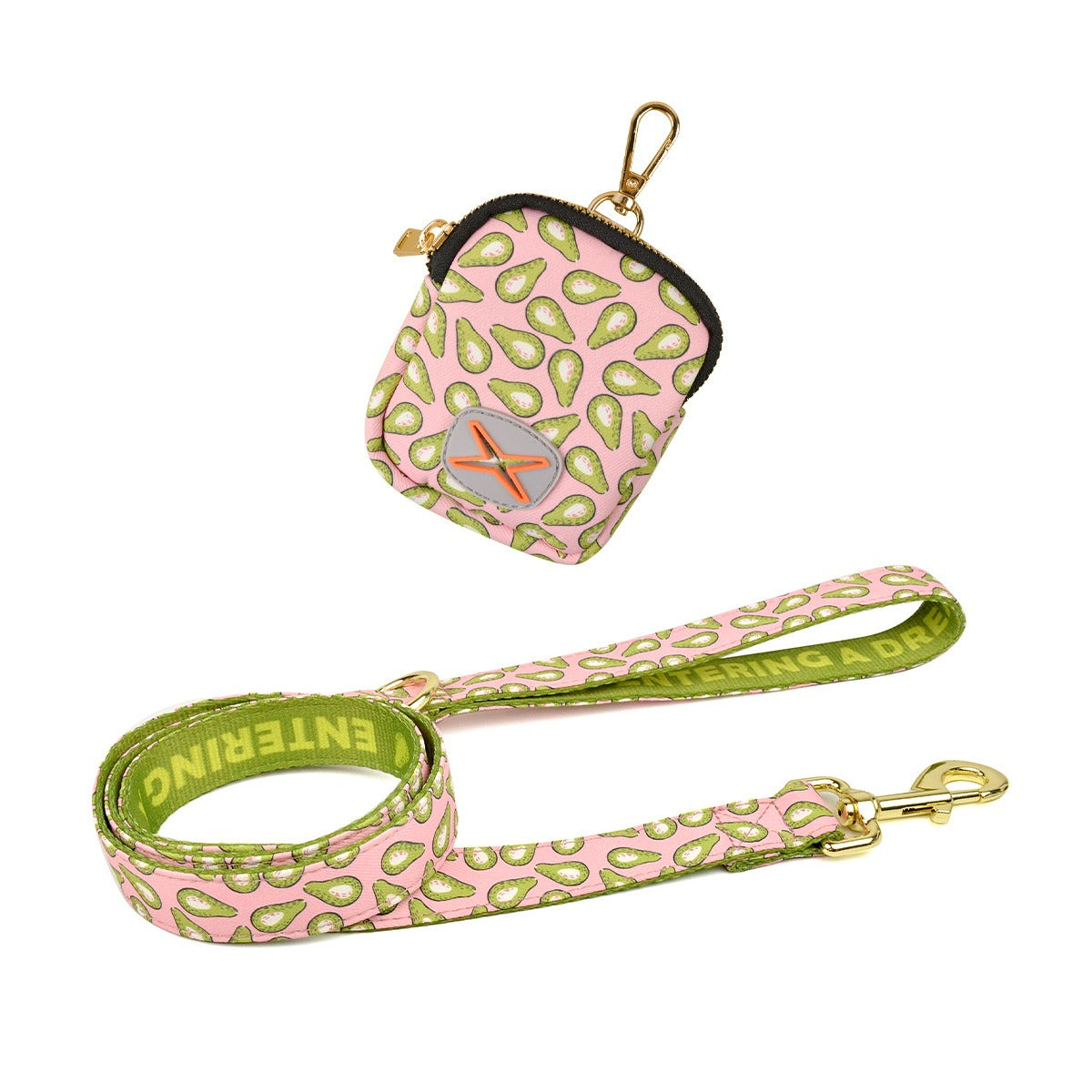Dog Leash & Poop Bag Holder Set
