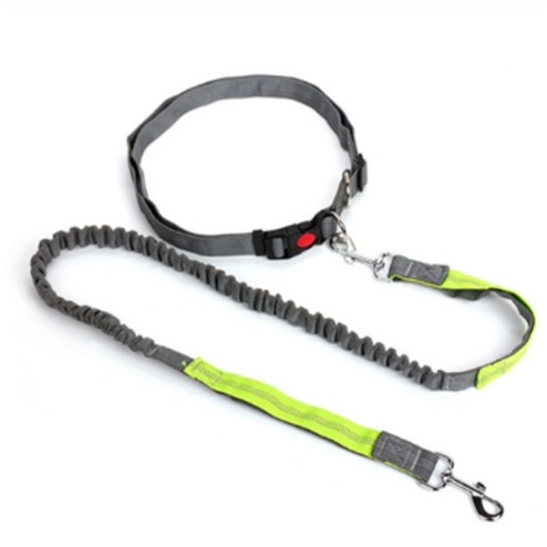 Dog Leash and Tethering Rope for Pets