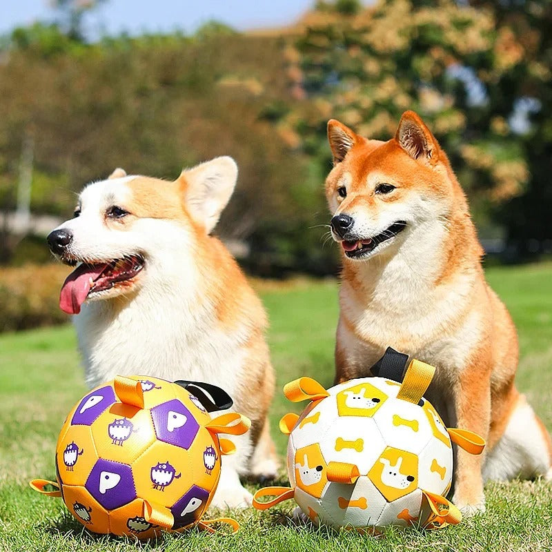 Dog Interactive Soccer Toy with Cute Prints