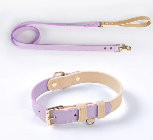 Leather Dog Leash & Collar