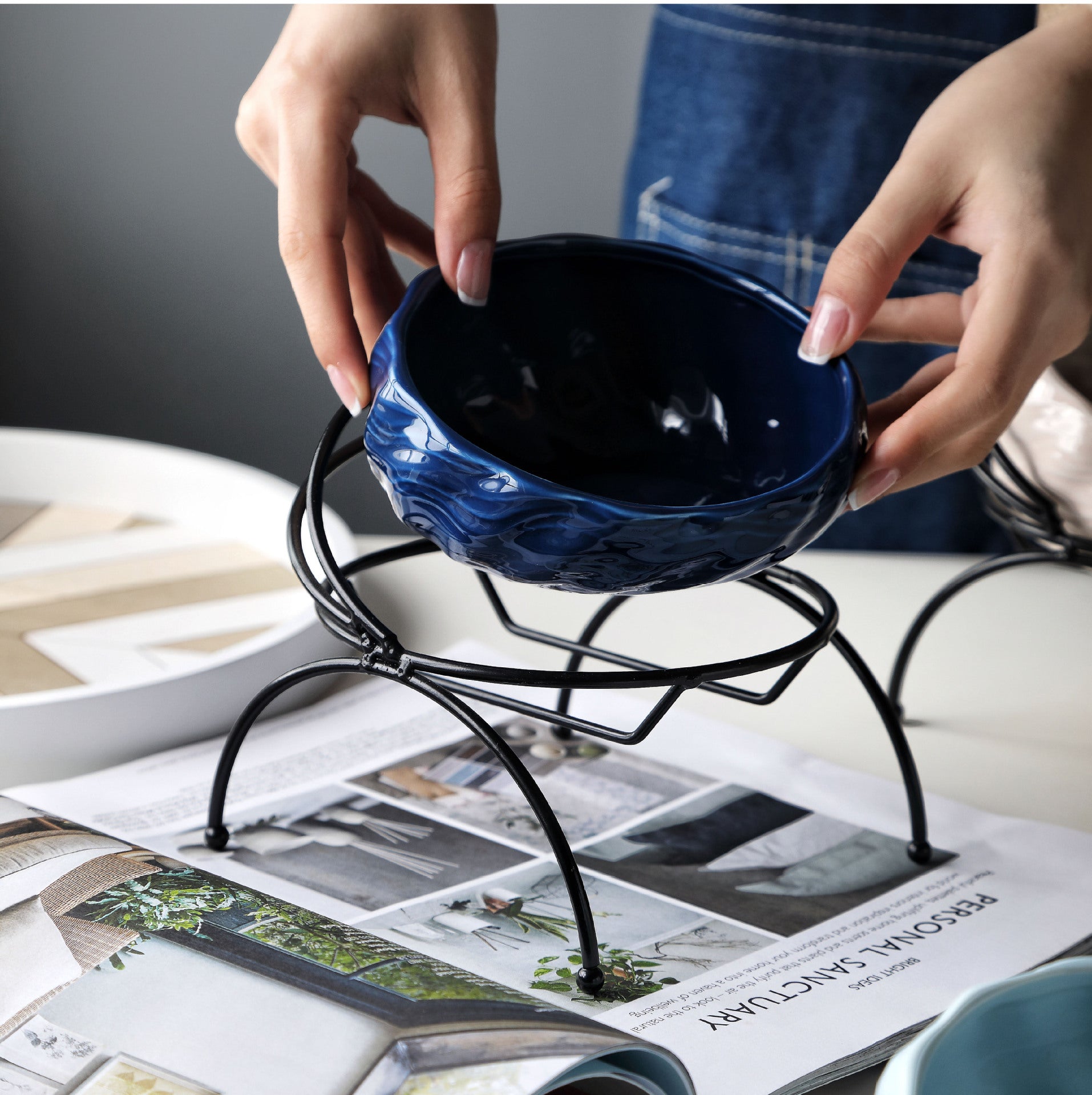 Pet Supplies Elevated Cat and Dog Bowls with Slant Design