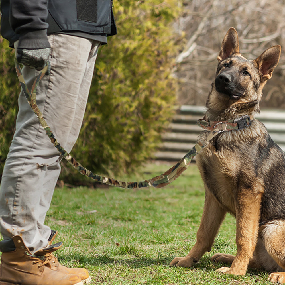 Adjustable Training Collar for Medium and Large Dogs